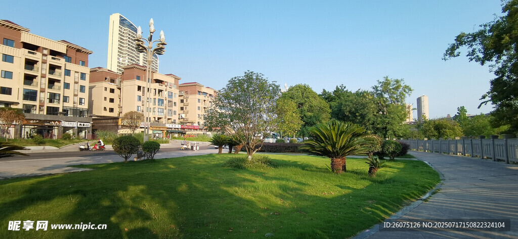 城市中美丽的绿地与建筑