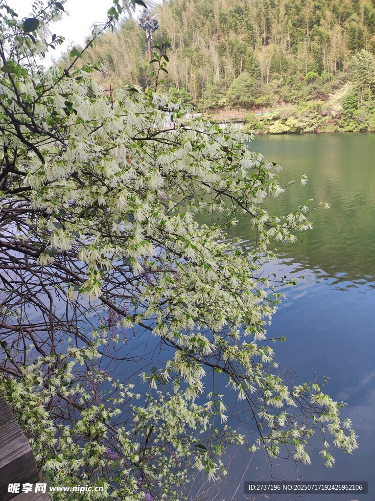 南山竹海
