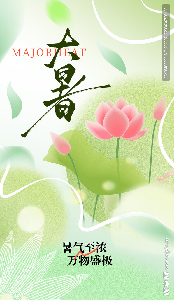 大暑海报