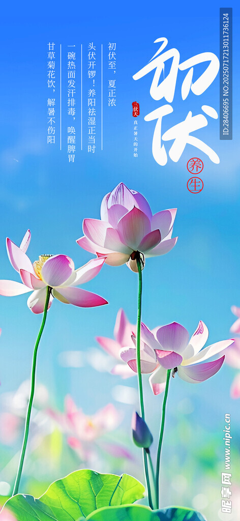 三伏天海报