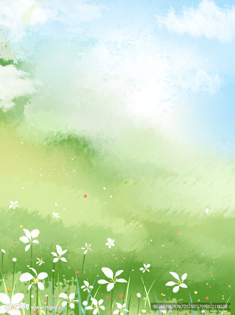 春日绿野白花清新风景
