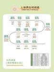 养生时间表