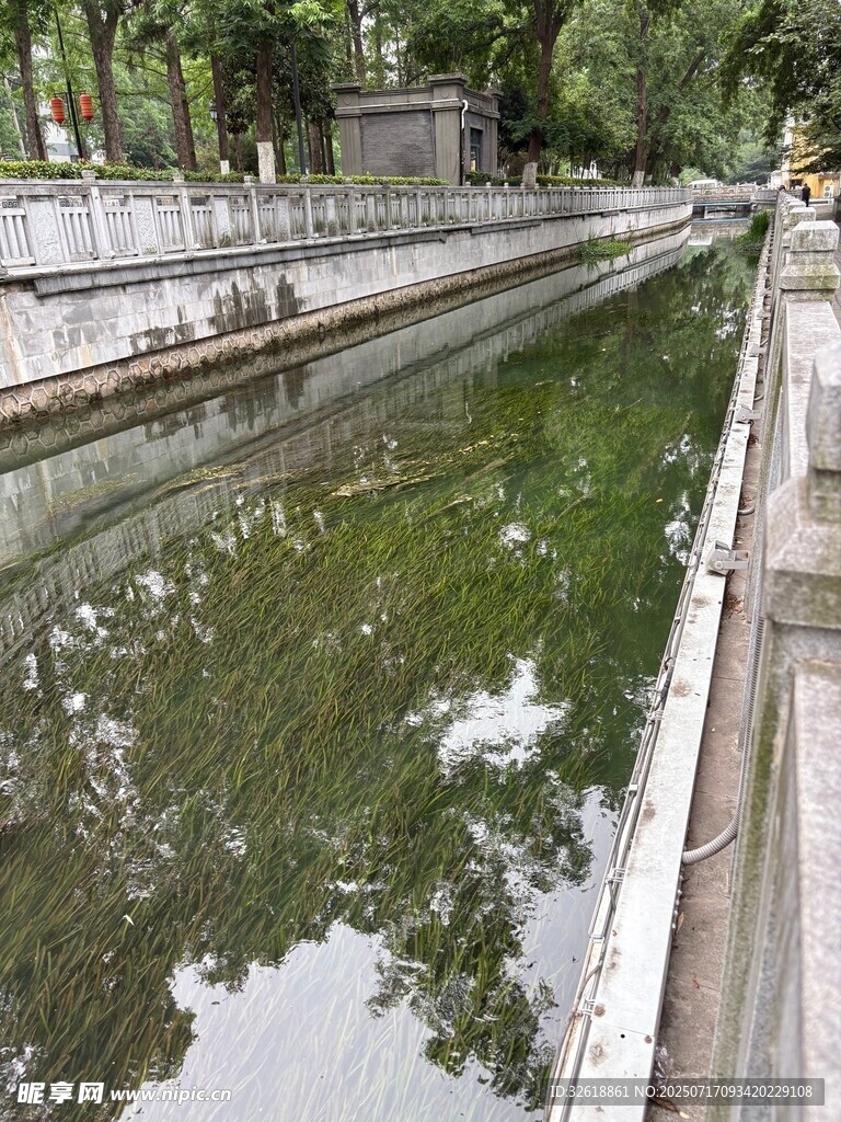 城市中静谧的绿水河道