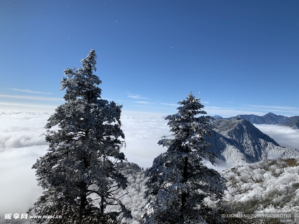雪岭云间松景