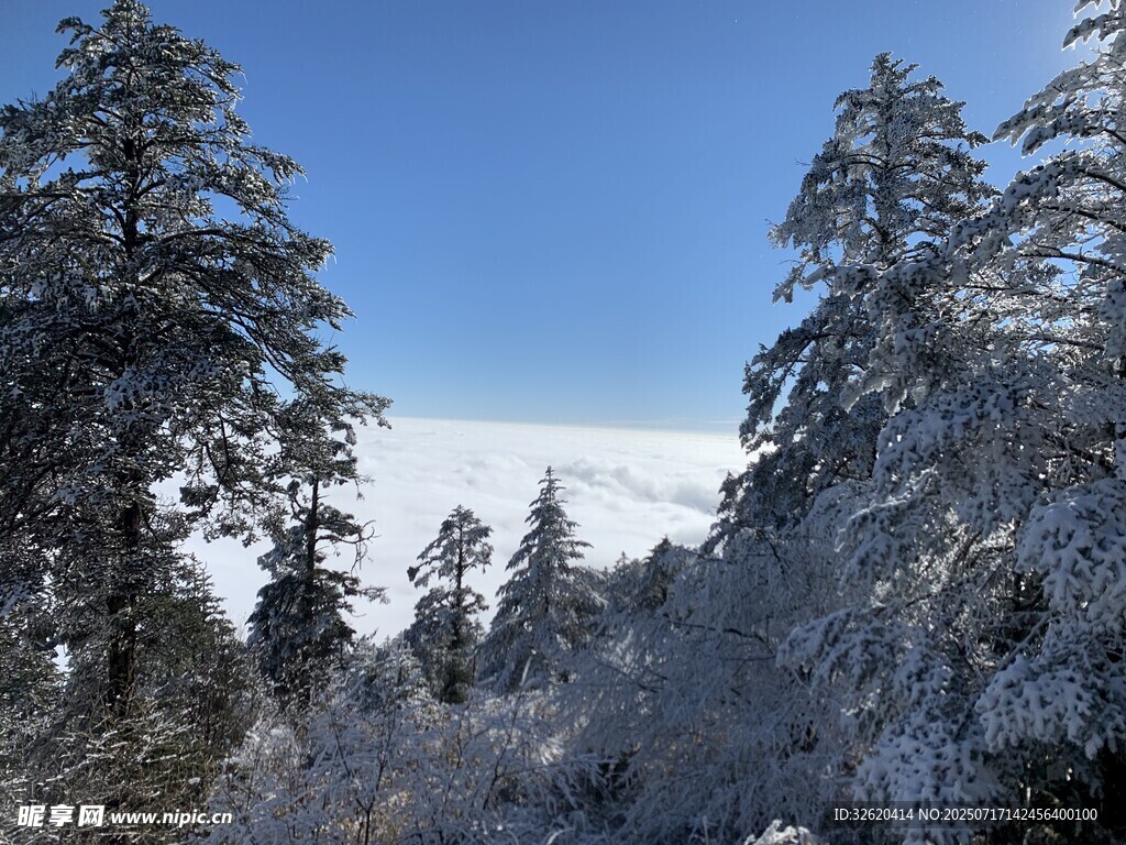 雪覆山林美景