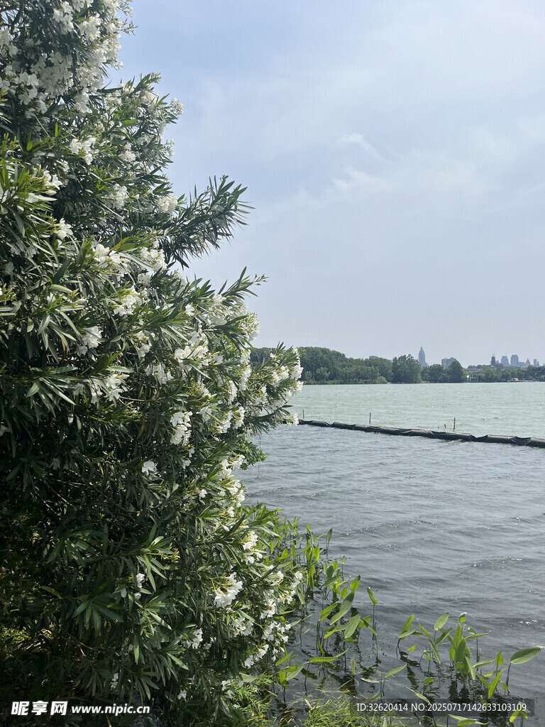 湖畔繁花绿树风景如画