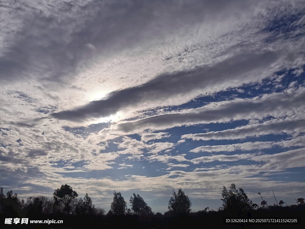 天空云彩与树木景观