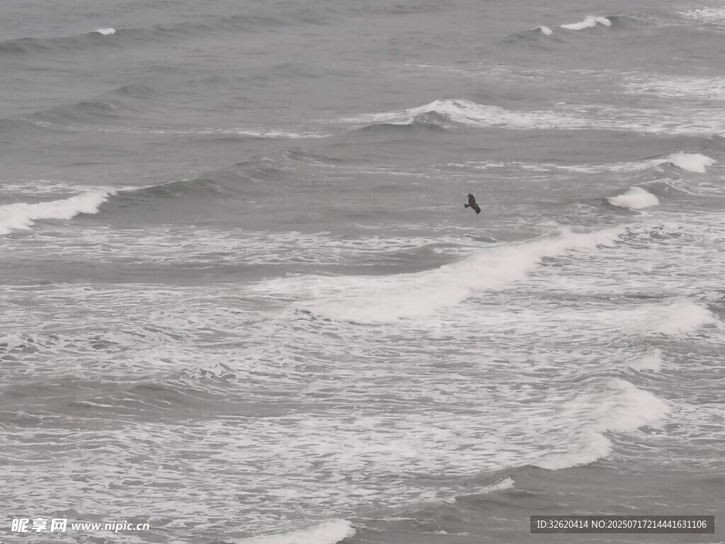 大海 海浪 