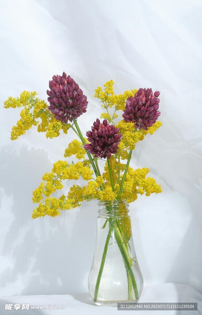花瓶中的多彩花卉