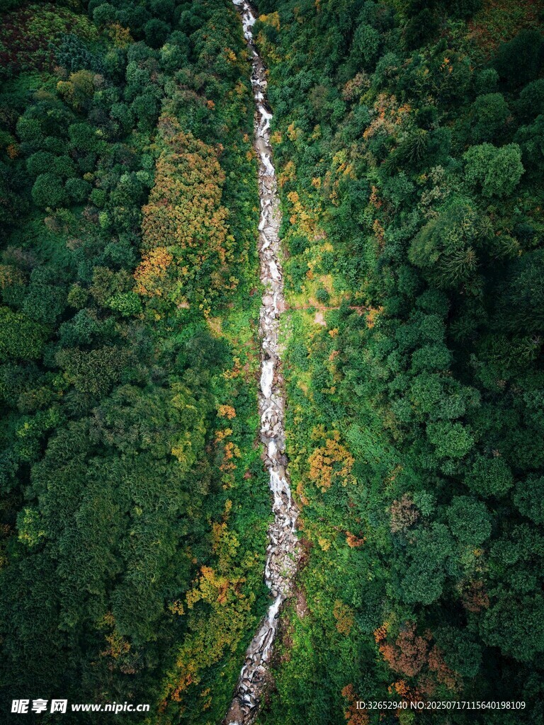 航拍林间蜿蜒小路