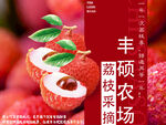荔枝海报