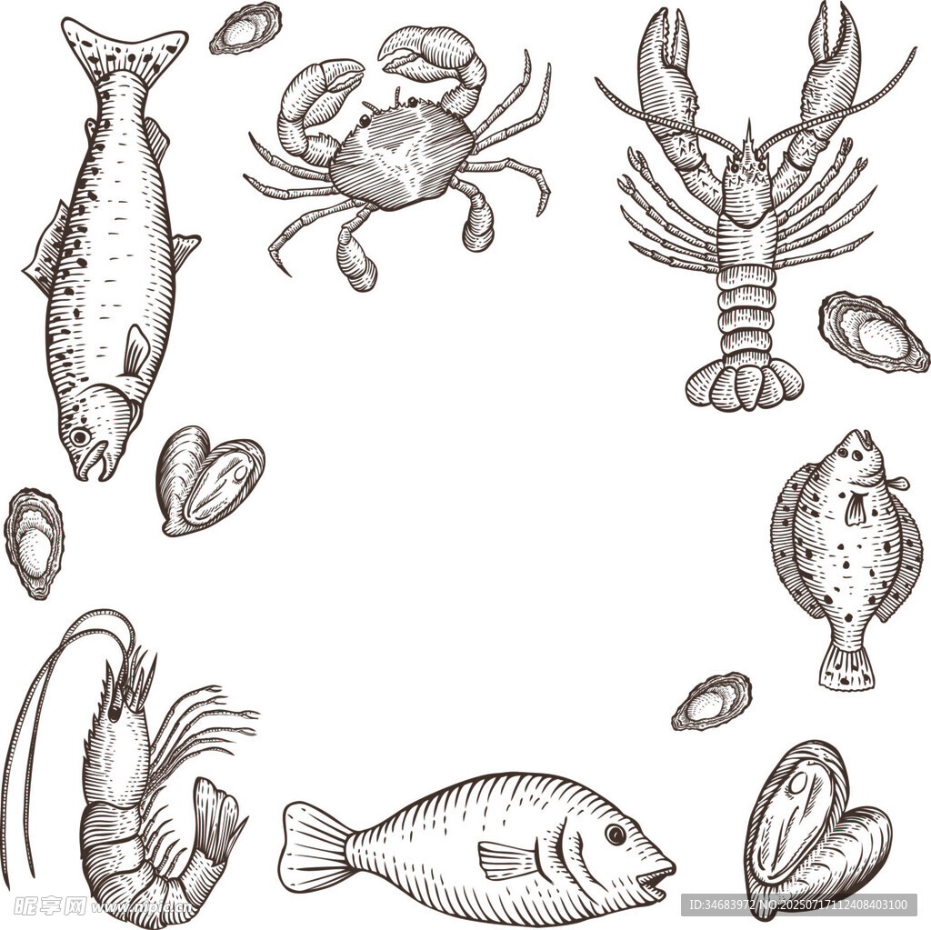 手绘海洋生物边框图案