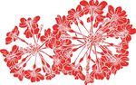 转转花