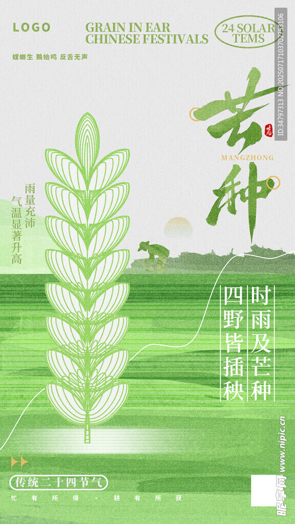 芒种