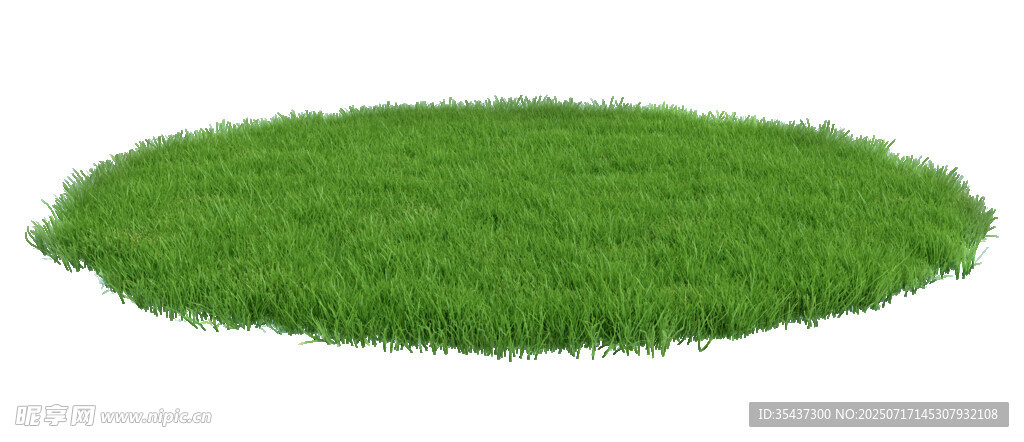 圆形绿色草坪