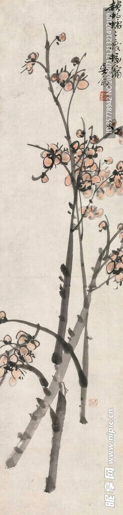 简约手绘花卉
