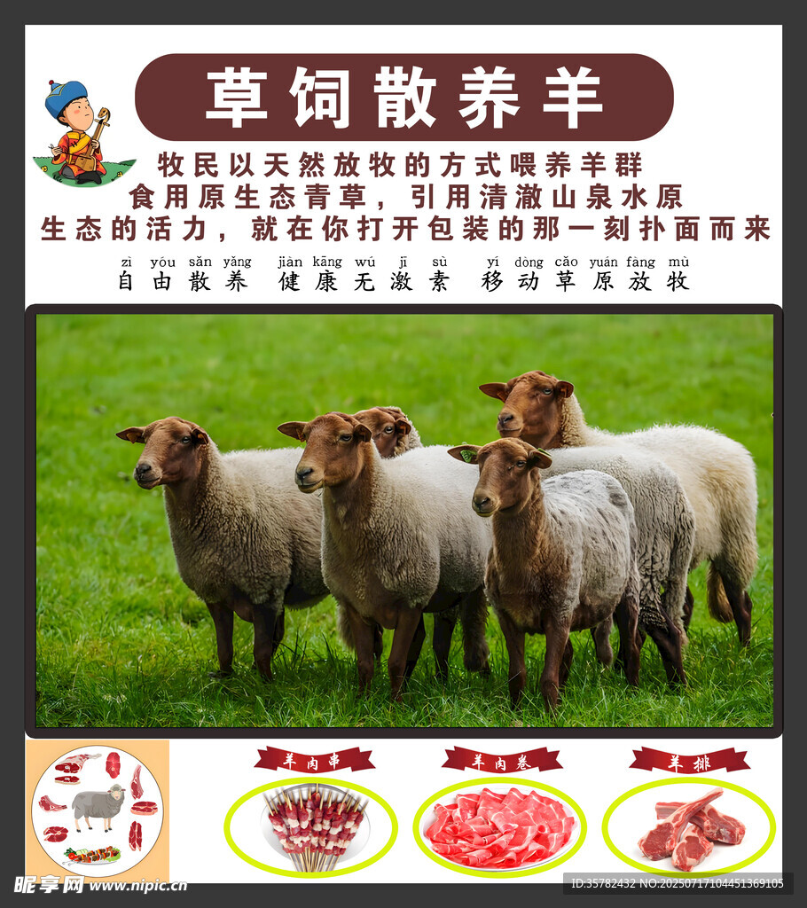 草饲散养羊 品质之选