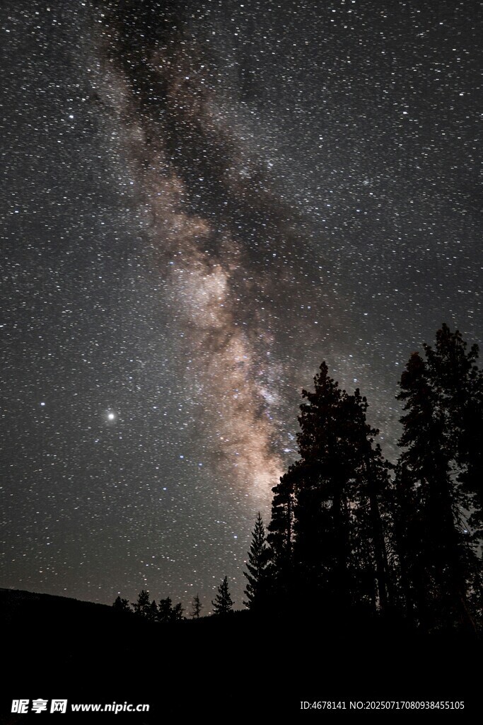 夜空下的璀璨星河与树木