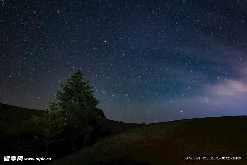 夜空下的孤树与璀璨繁星