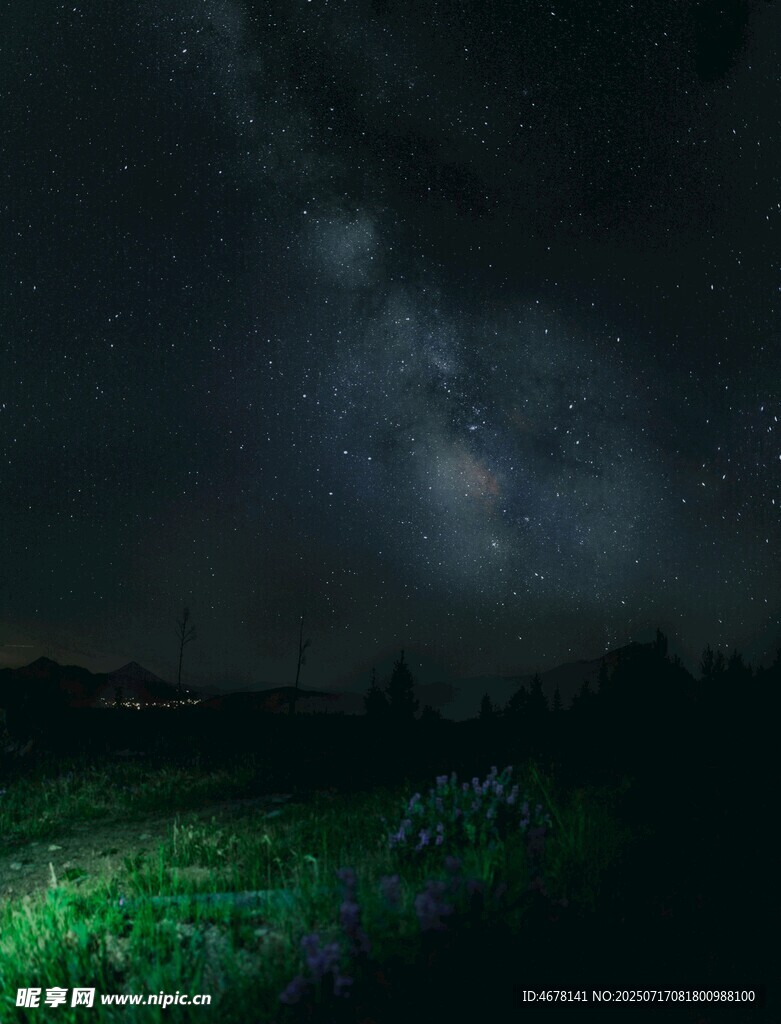 夜空下的绿色原野与星河