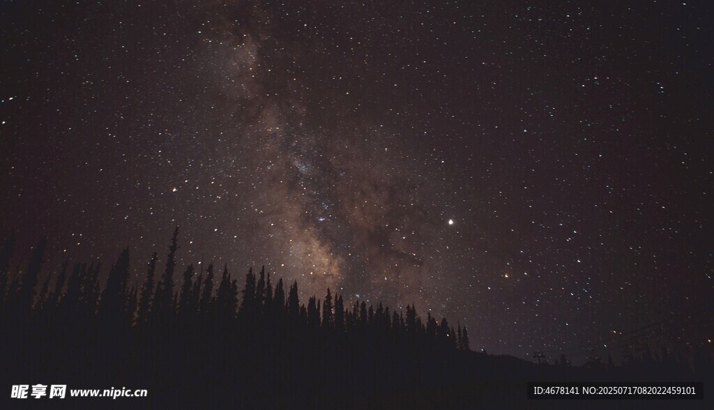 夜空下的森林与璀璨星河