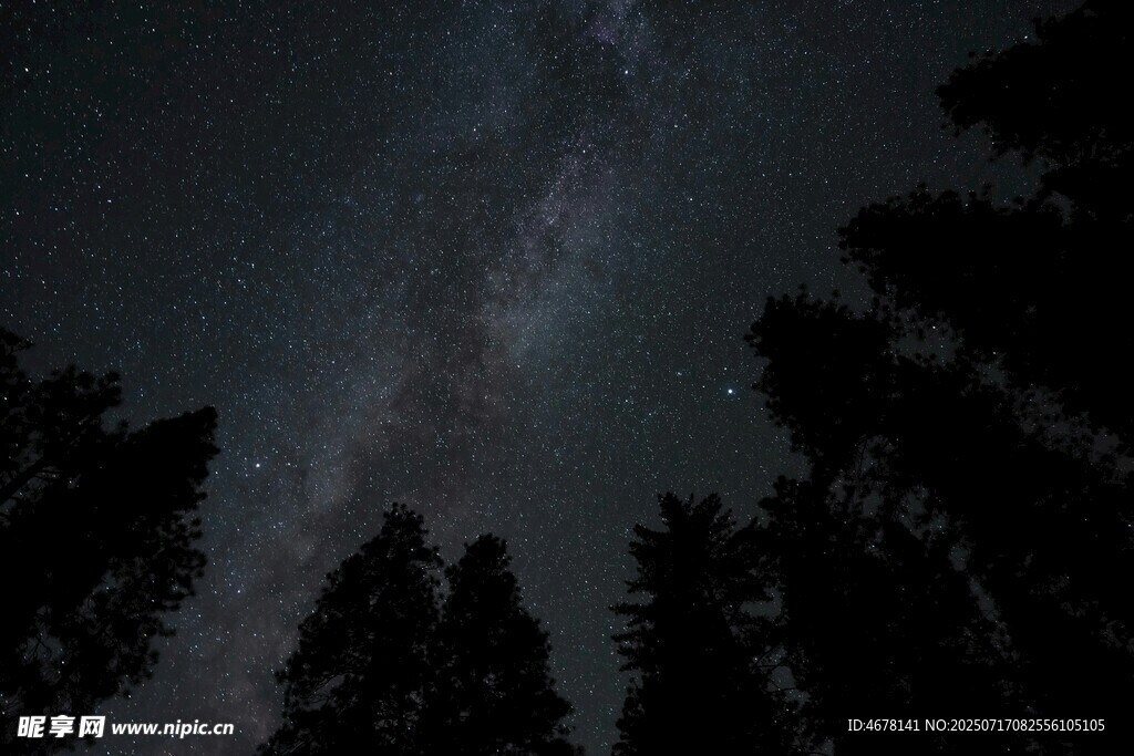 夜空下的森林与璀璨星河