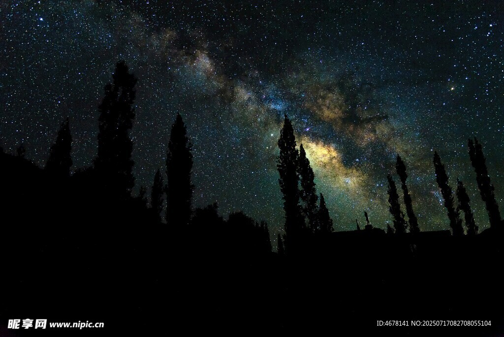 夜空下的树木与璀璨星河