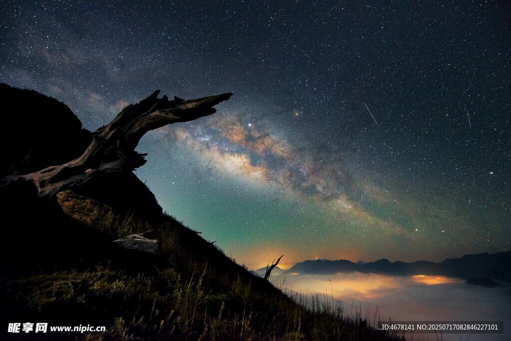 夜空下的奇幻枯木与云海