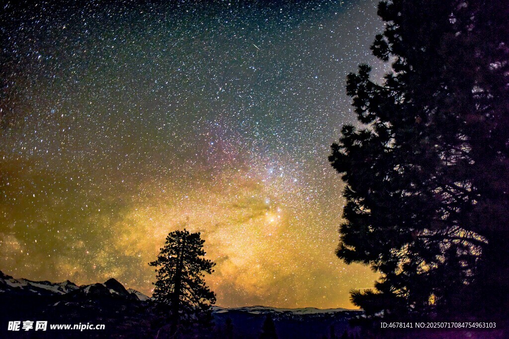 夜空下的树木与璀璨星河