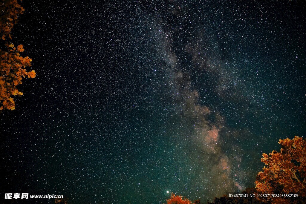 夜空下的璀璨星河与秋叶