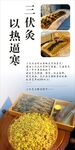 艾灸  三伏灸