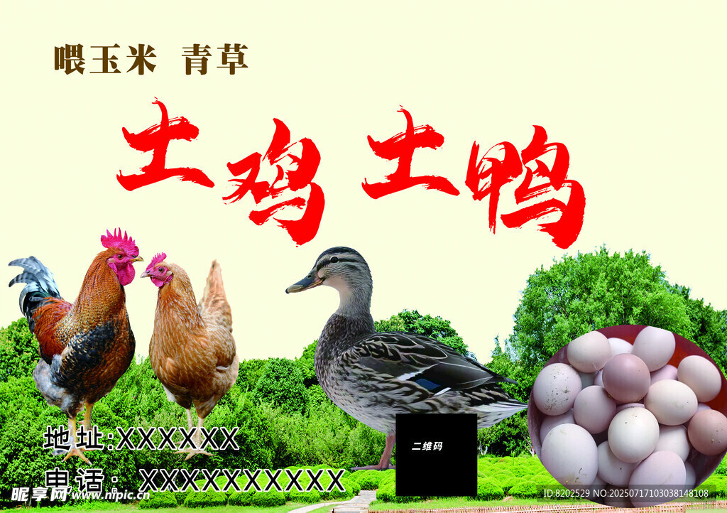 土鸡土鸭与新鲜禽蛋