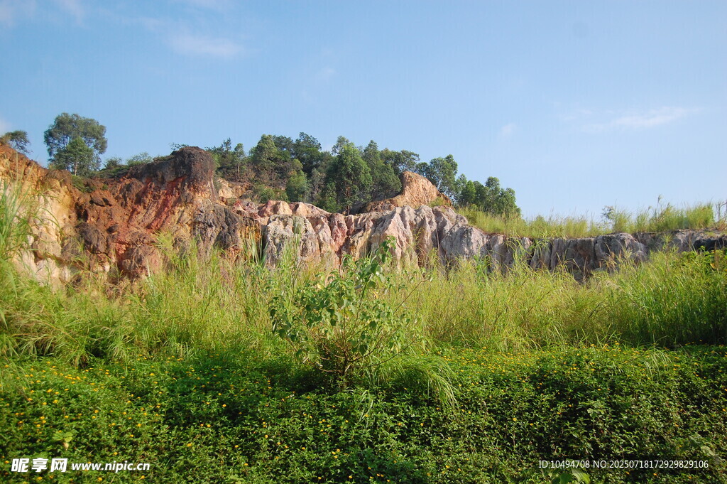 野外山坡绿植与岩石景观