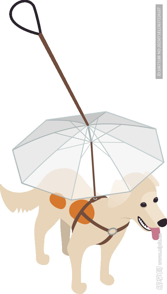 狗狗撑透明伞可爱瞬间