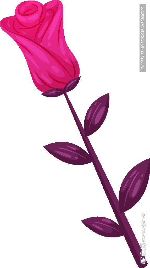 粉色玫瑰插画