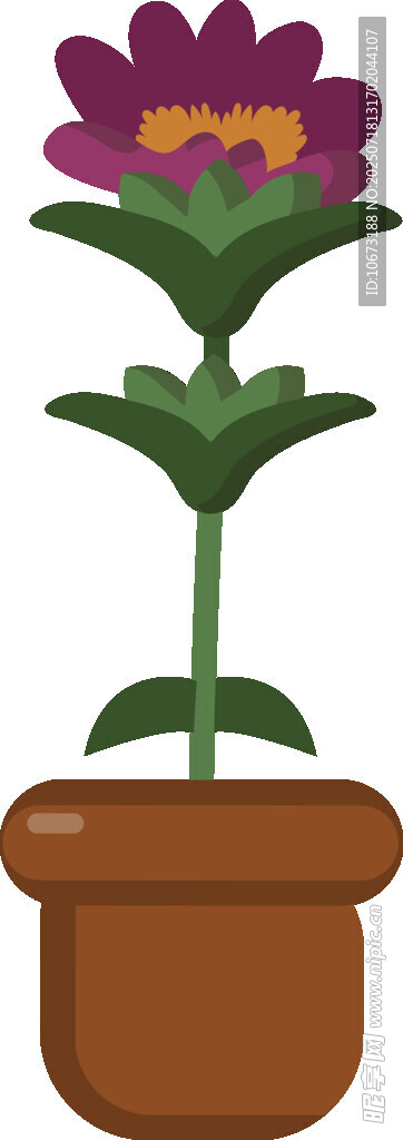 花盆中的紫色花卉