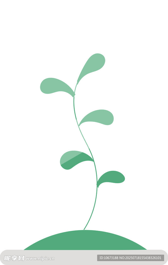 萌芽绿植