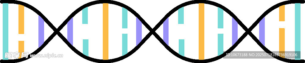 双螺旋结构图案
