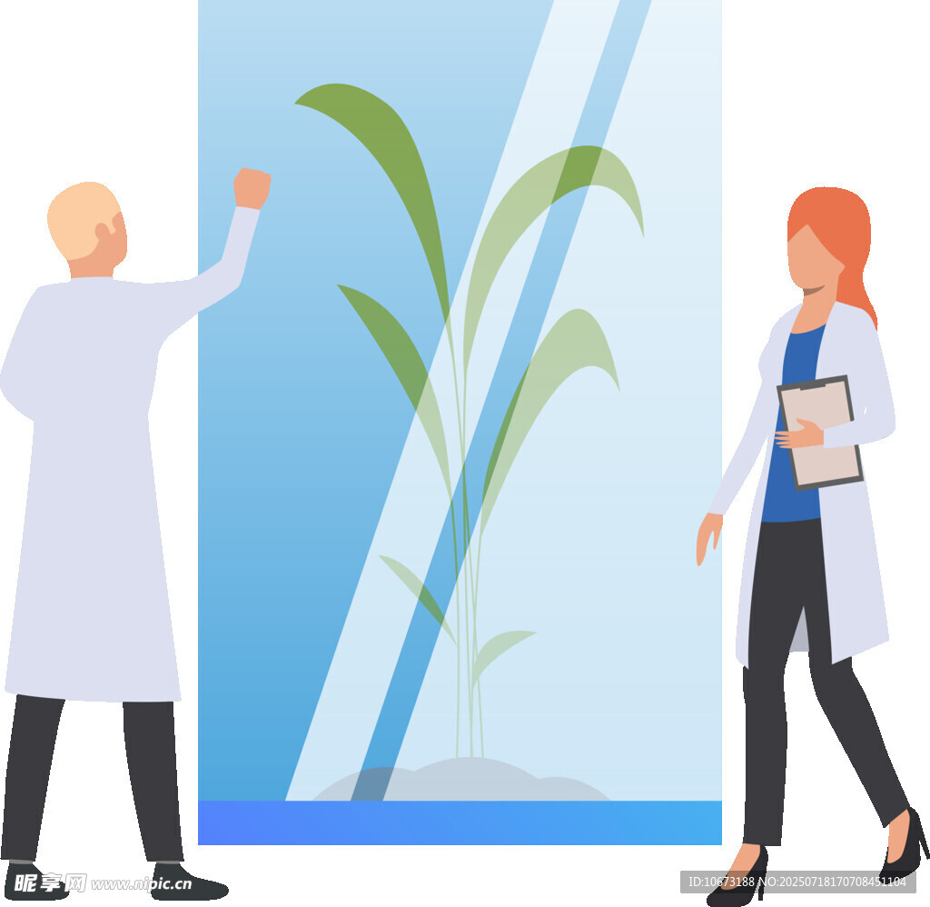 科学家观察温室中的植物