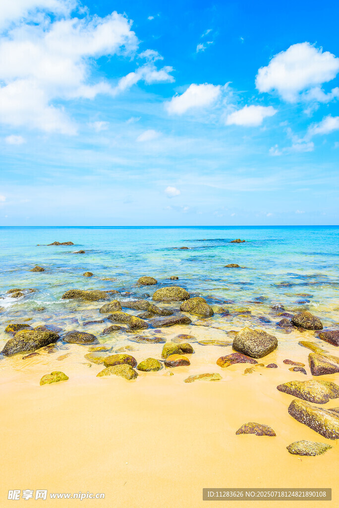 金色沙滩与蔚蓝大海美景