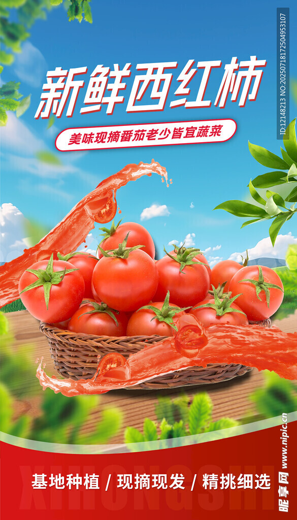 西红柿