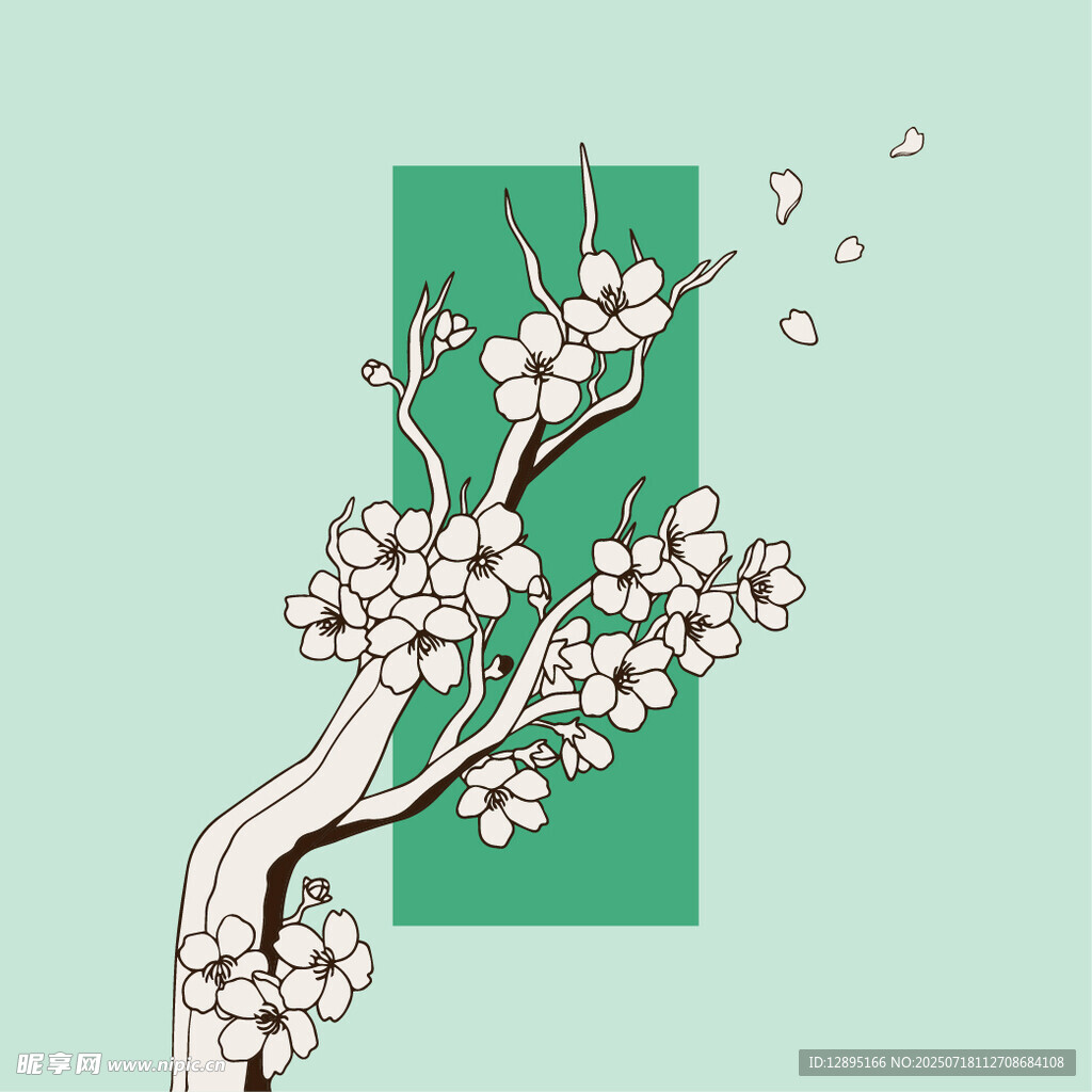 枝头绽放的素雅樱花
