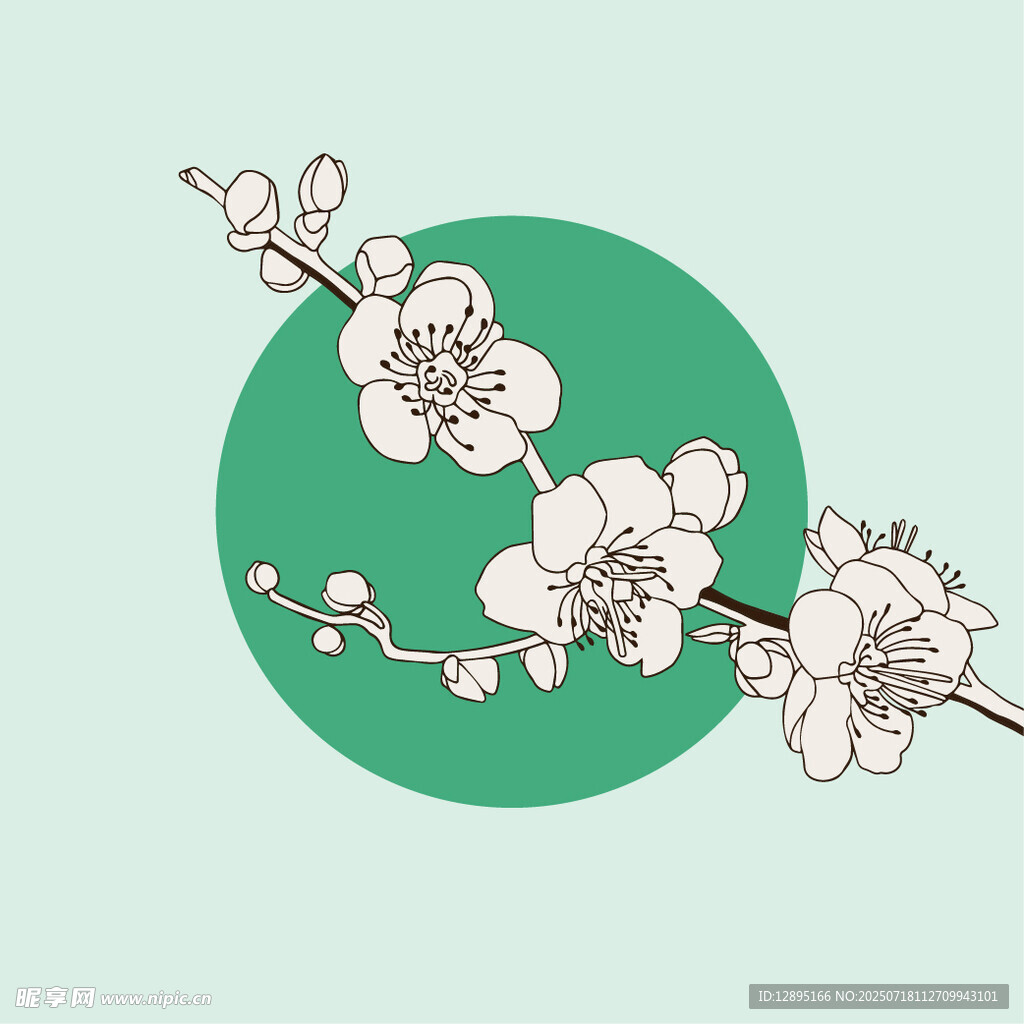 枝头绽放的清新白色花朵