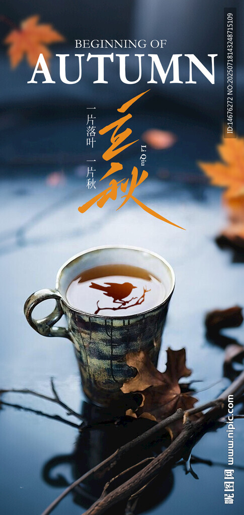 二十四节气立秋海报