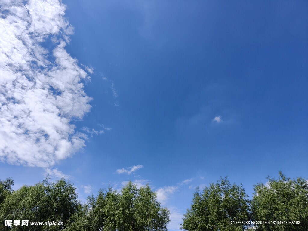 蓝天绿树美景