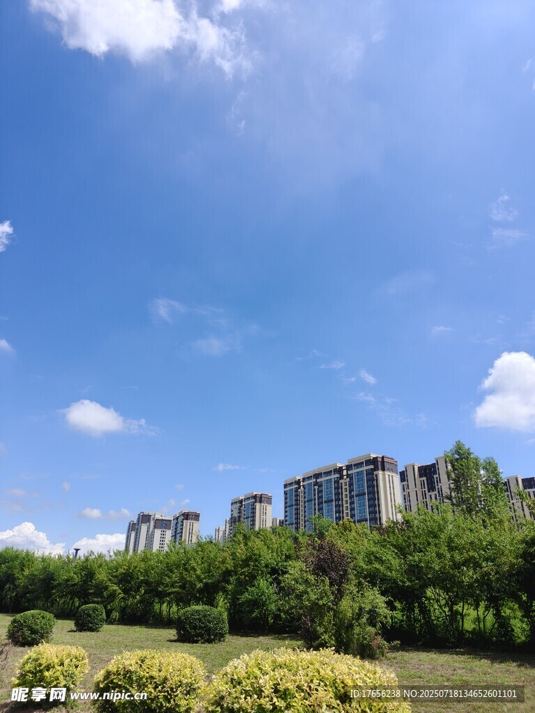 蓝天绿树旁的城市建筑群