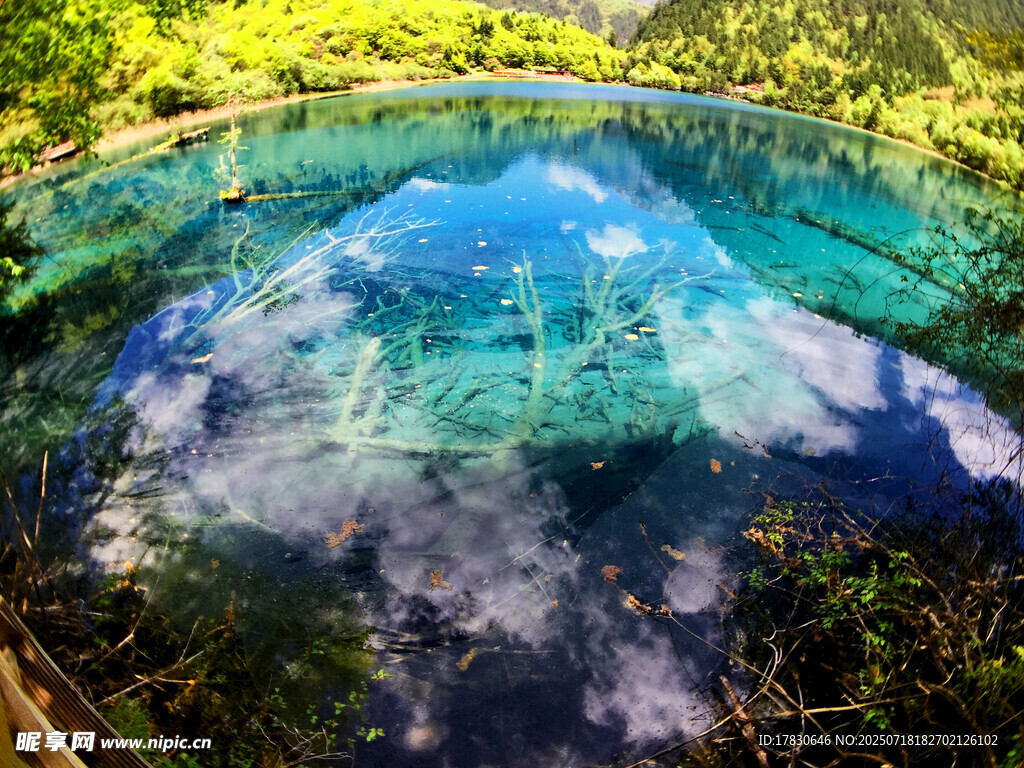 梦幻水下世界景观