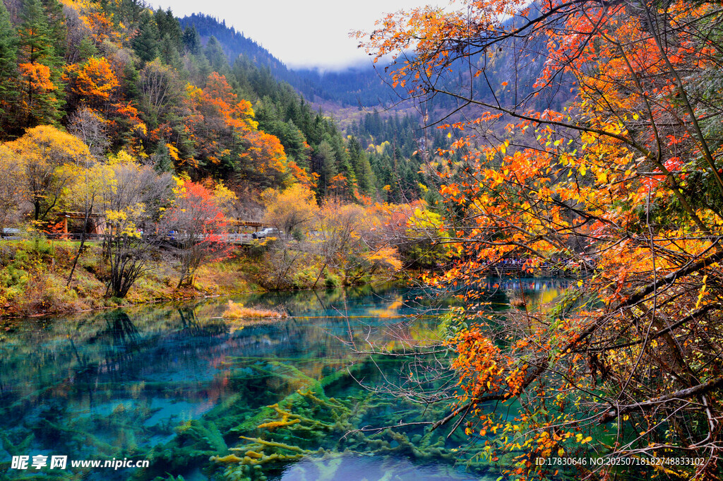 秋日九寨沟的斑斓湖景