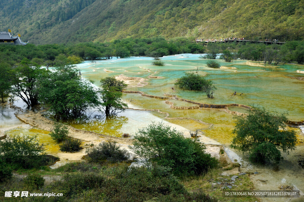山间多彩河流与葱郁植被