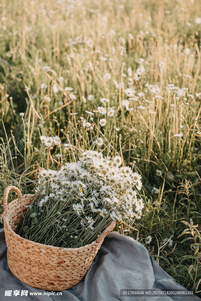草地上的花篮与清新小花